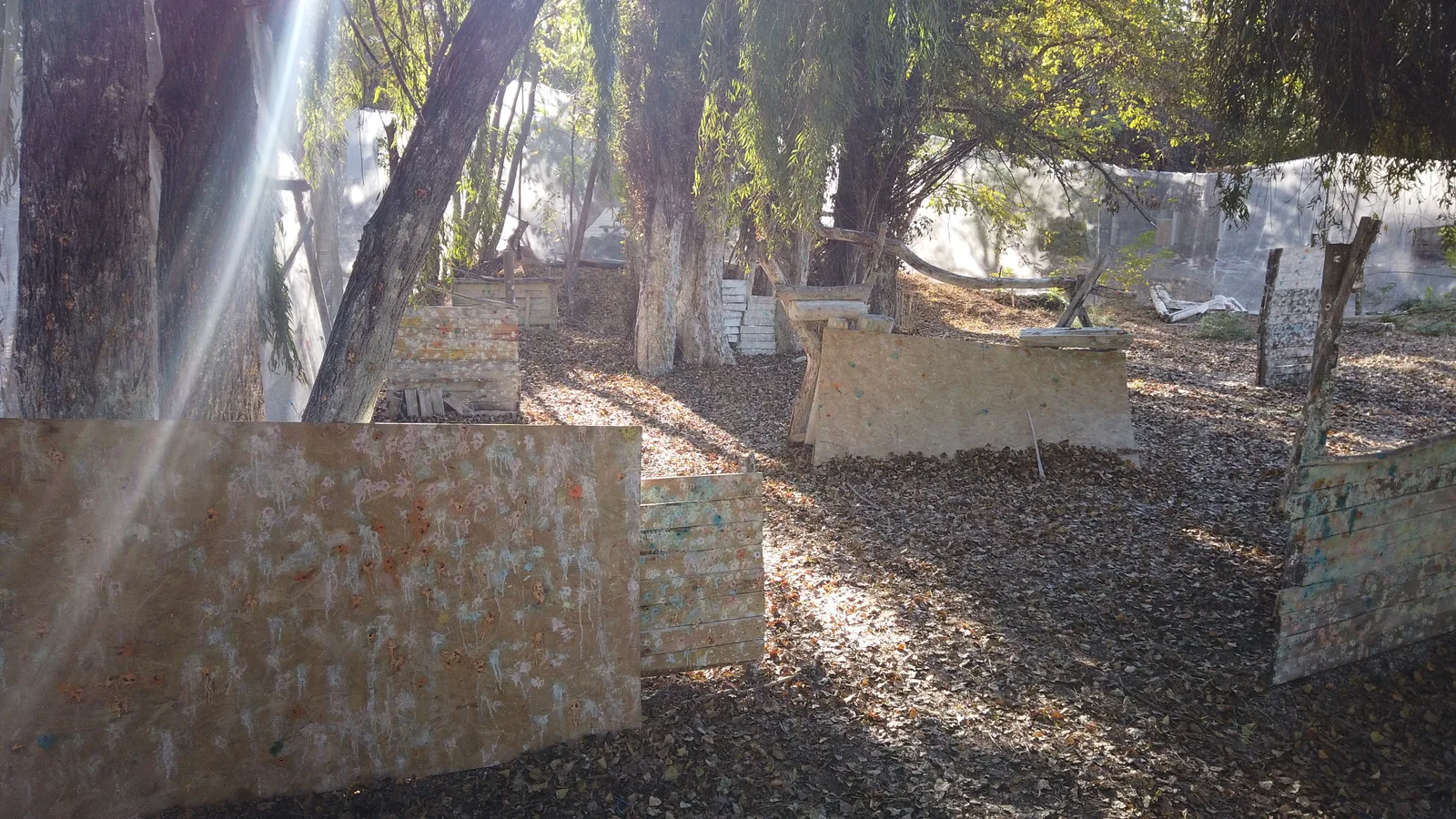 Cancha Bosque