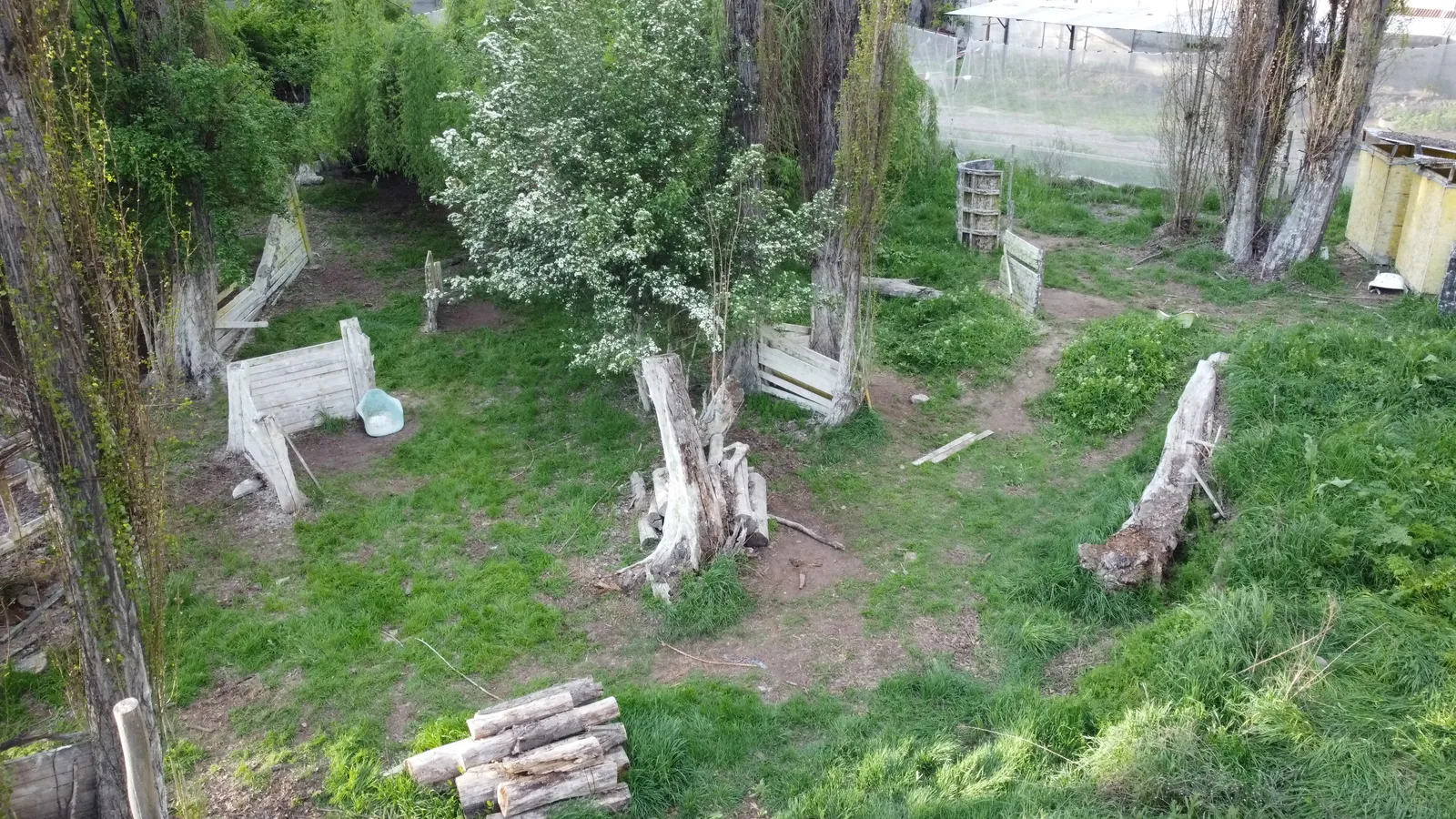 Cancha Bosque